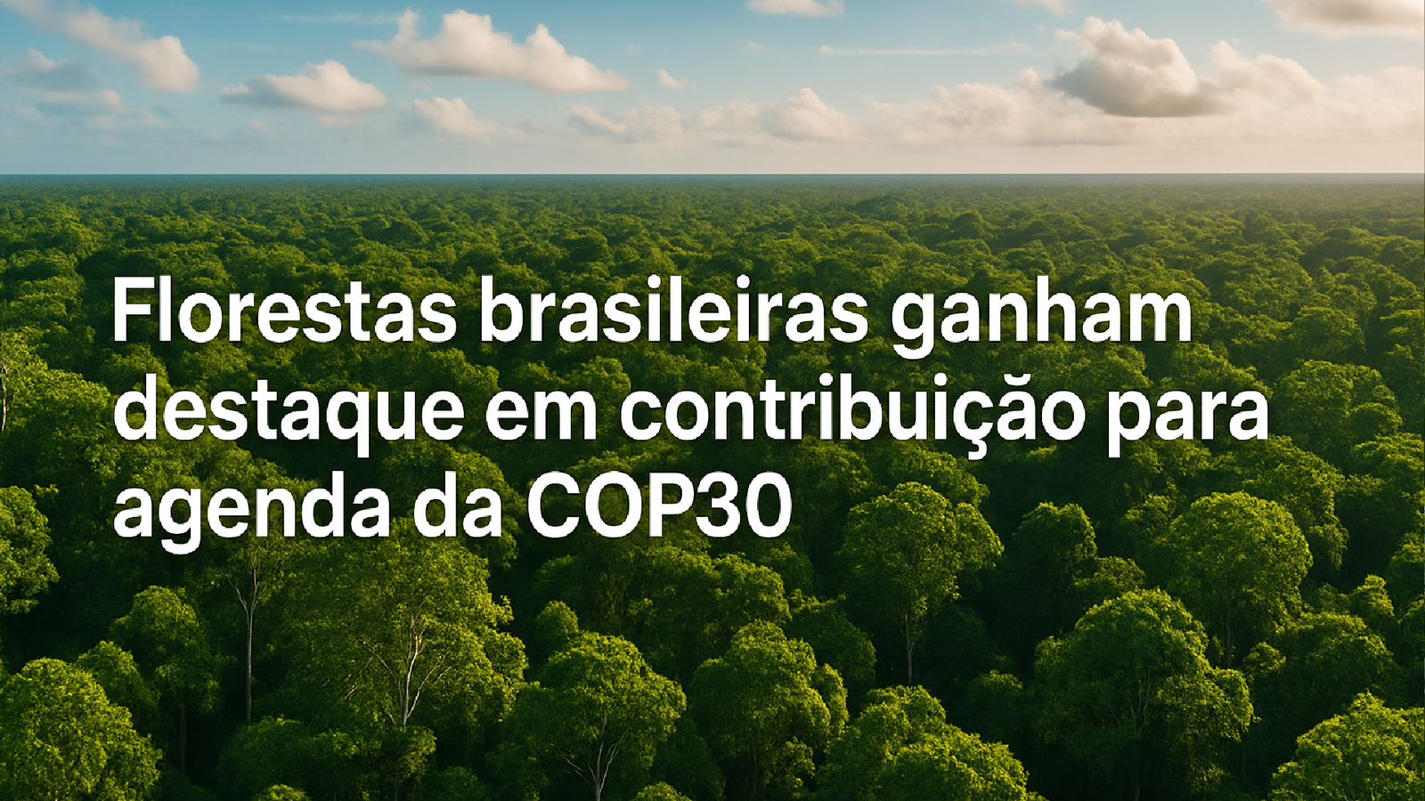 Florestas Brasileiras: Pilar Ambiental na COP30